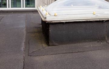 disadvantages of Waggs Plot flat roofs