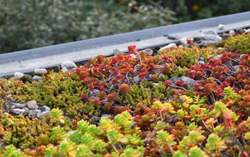 the cost of Waggs Plot green roof installation