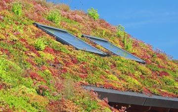 Waggs Plot living roof systems