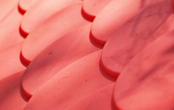 Waggs Plot plastic roof costs