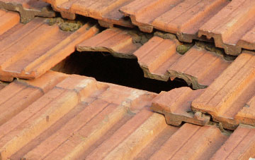 roof repair Waggs Plot, Devon