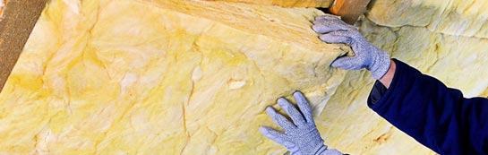 quotes for Waggs Plot roof insulation