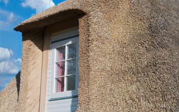 Waggs Plot thatch roof disadvantages