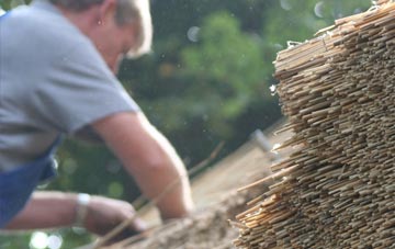 professional Waggs Plot thatchers