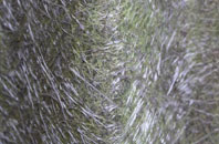 Waggs Plot fibreglass roof work