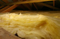 Waggs Plot pitch roof insulation